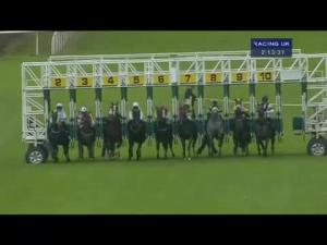 Video preview image for Hamilton Park 14:10 - Marie Curie Cancer Care Handicap