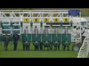 Video preview image for Hamilton Park 14:40 - Marie Curie Glasgow Hospice Auction Nursery