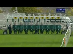 Video preview image for Hamilton Park 15:10 - Jack Webster Classified Claiming Stakes