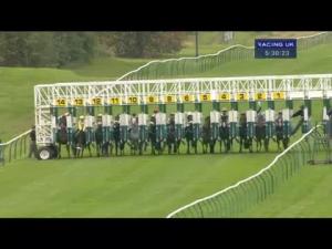 Video preview image for Ayr 17:30 - Betfair Scottish Racing Mile Series Final Handicap