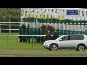 Video preview image for Nottingham 14:40 - EBF Stallions Oh So Sharp Maiden Fillies' Stakes