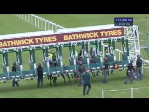 Video preview image for Salisbury 15:20 - Inspire Foundation Claiming Stakes