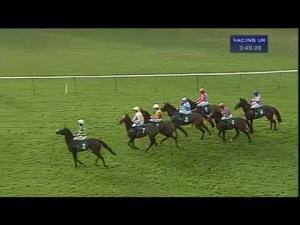 Video preview image for Warwick 15:45 - Hague Print Handicap Hurdle