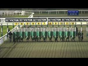 Video preview image for Kempton Park 20:15 - Barn Dance Christmas Parties At Kempton Nursery