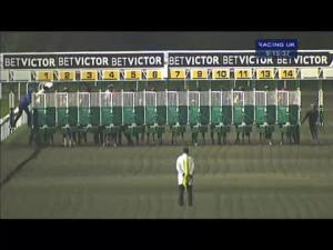 Video preview image for Kempton Park 21:15 - Follow Betvictorracing On Twitter Handicap
