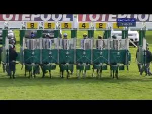 Video preview image for Redcar 15:45 - Totescoop6 EBF Guisborough Stakes (Listed)