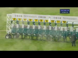 Video preview image for Newmarket 16:05 - Wild Duck Norfolk Woodland Retreat EBF Stallions Maiden Stakes