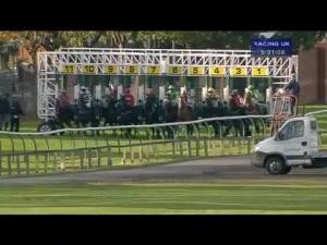 Video preview image for Redcar 17:30 - Market Cross Jewellers Handicap