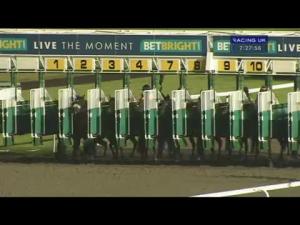 Video preview image for Kempton Park 19:25 - Betbright Moneyback Offers Median Auction Maiden Stakes