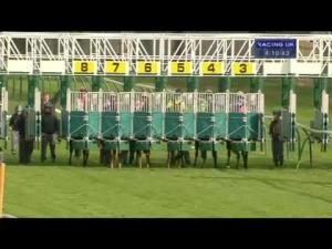 Video preview image for Ayr 16:10 - Guinness Dublin Porter Handicap