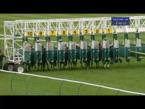 Video preview image for Ayr 16:40 - Ginger Grouse Handicap