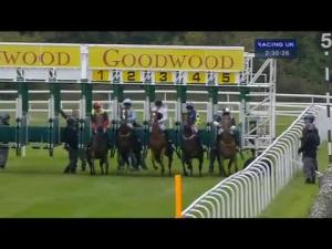 Video preview image for Goodwood 14:30 - Steve Smith Memorial Maiden Auction Stakes