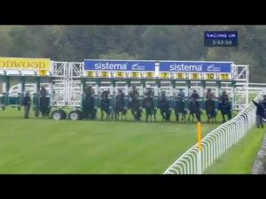 Video preview image for Goodwood 15:40 - Sistema Handicap