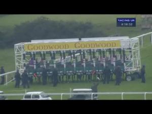 Video preview image for Goodwood 16:15 - Amateur Jockeys' Association Gentleman Amateur Handicap (Gentleman Amateur Riders)