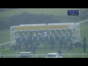 Video preview image for Goodwood 17:15 - Furniture Makers Handicap