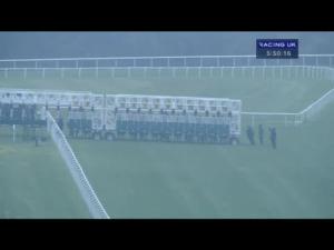 Video preview image for Goodwood 17:45 - Rifles Care For Casualties Appeal Handicap