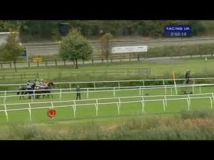 Video preview image for Huntingdon 14:50 - Ingrebourne Valley Handicap Chase