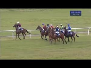 Video preview image for Wincanton 14:50 - Bathwick Tyres Midsomer Norton Novices' Handicap Chase
