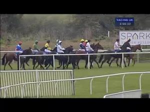 Video preview image for Wincanton 16:50 - Bathwick Tyres Salisbury Maiden Hurdle