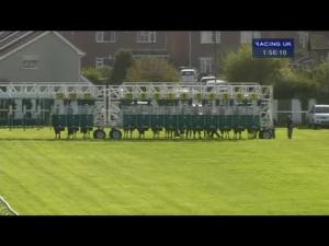 Video preview image for Redcar 13:55 - Ijf 50th Anniversary British Stallion Studs EBF Maiden Stakes