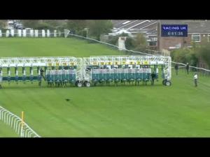 Video preview image for Redcar 16:40 - Join The Racing UK Club Handicap (Div 2)