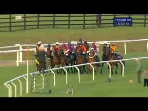 Video preview image for Cheltenham 17:30 - Jockey Club Venues Standard Open NH Flat Race