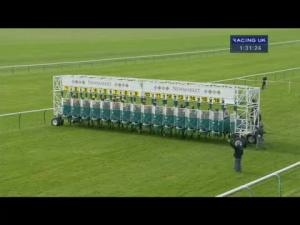 Video preview image for Newmarket 13:30 - Turftv Median Auction Maiden Fillies' Stakes