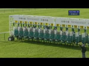 Video preview image for Newmarket 14:00 - 'Group 1 Credit Management' Nursery (Div 1)