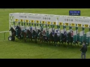 Video preview image for Newmarket 14:35 - 'Group 1 Credit Management' Nursery (Div 2)