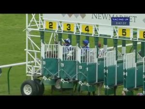 Video preview image for Newmarket 15:45 - Ar Legal Collections Houghton Conditions Stakes