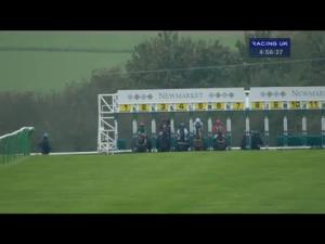 Video preview image for Newmarket 16:55 - Zetland Conditions Stakes
