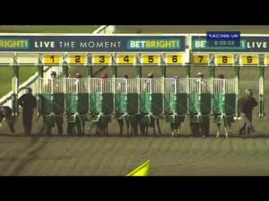 Video preview image for Kempton Park 18:25 - Betbright Moneyback Offers Median Auction Maiden Stakes