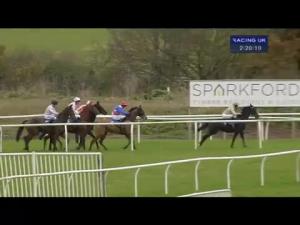 Video preview image for Wincanton 14:20 - Montague Inn Novices' Hurdle