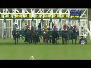 Video preview image for Catterick Bridge 12:50 - catterickbridge.co.uk Novice Stakes