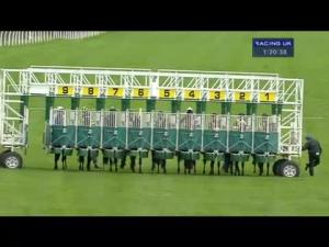 Video preview image for Catterick Bridge 13:20 - Racing UK On Sky 432 Handicap