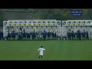 Video preview image for Catterick Bridge 16:20 - Jump Season Next On December 3rd Handicap