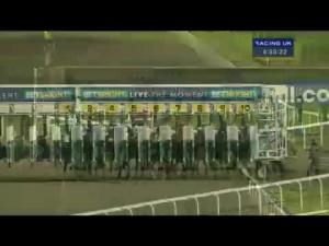 Video preview image for Kempton Park 16:55 - Book Christmas Festival Tickets Now Handicap (Div 1)