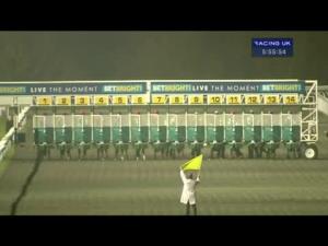Video preview image for Kempton Park 17:55 - Betbright Mobile Maiden Stakes