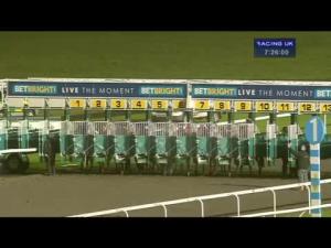Video preview image for Kempton Park 19:25 - Betbright Moneyback Offers Handicap (London Middle Distance Series Qualifier)