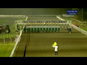 Video preview image for Kempton Park 17:00 - betvictor.com Maiden Stakes
