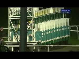 Video preview image for Kempton Park 19:00 - Follow Betvictorracing On Twitter Handicap