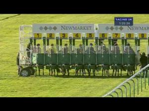 Video preview image for Newmarket 13:25 - EBF Stallions Montrose Fillies' Stakes (Listed)