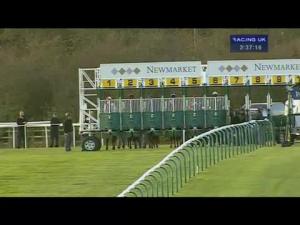 Video preview image for Newmarket 14:35 - Agma Holdings James Seymour Stakes (Listed)