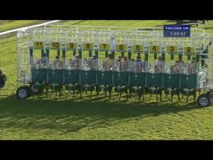 Video preview image for Redcar 13:00 - Irish Stallion Farms EBF Maiden Stakes (Div 2)