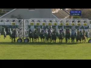 Video preview image for Redcar 13:30 - Hold Your Christmas Party Here Selling Stakes