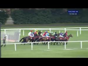 Video preview image for Sandown Park 12:45 - Share Centre : Passionate About Investing Conditional Jockeys' Handicap Hurdle