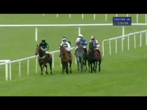 Video preview image for Sandown Park 13:55 - share.com : Invest For The Future Juvenile Hurdle