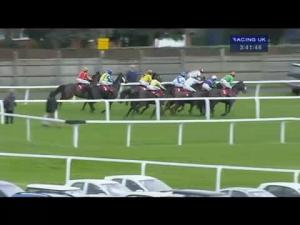 Video preview image for Sandown Park 15:40 - Share Centre Supports Florence Nightingale Hospice Handicap Chase