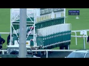 Video preview image for Kempton Park 15:50 - Irish Stallion Farms EBF Maiden Stakes (Div 2)