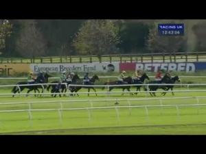 Video preview image for Huntingdon 12:40 - Omni Security K9 Services Handicap Hurdle